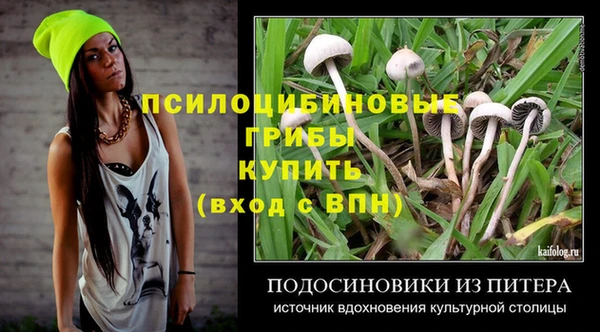 сатива Аркадак