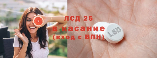 сатива Аркадак