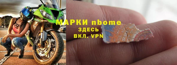 сатива Аркадак
