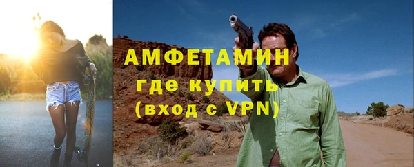 сатива Аркадак